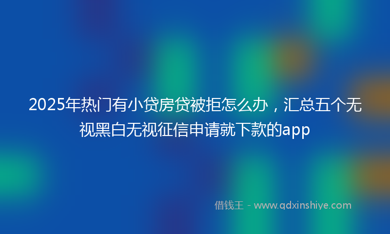 2025年热门有小贷房贷被拒怎么办，汇总五个无视黑白无视征信申请就下款的app