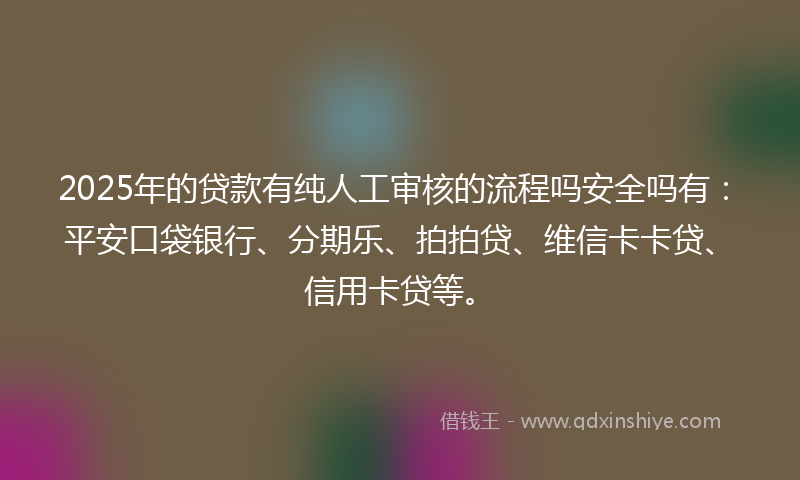 2025年的贷款有纯人工审核的流程吗安全吗有：平安口袋银行、分期乐、拍拍贷、维信卡卡贷、信用卡贷等。