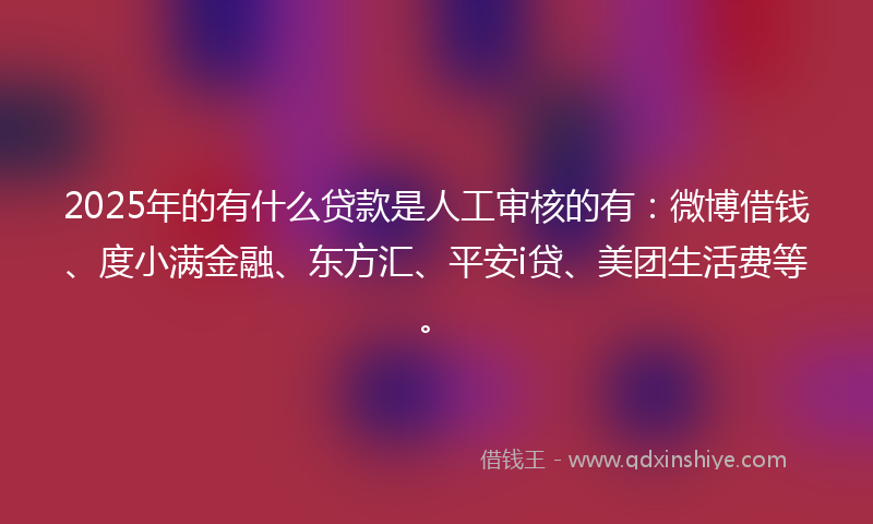 2025年的有什么贷款是人工审核的有：微博借钱、度小满金融、东方汇、平安i贷、美团生活费等。