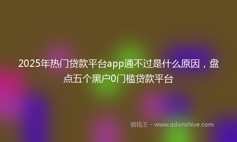 2025年热门贷款平台app通不过是什么原因，盘点五个黑户0门槛贷款平台