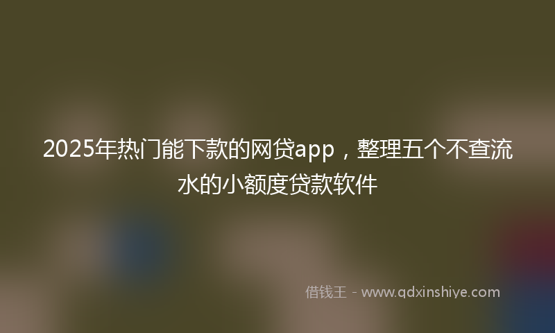 2025年热门能下款的网贷app，整理五个不查流水的小额度贷款软件