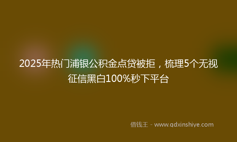2025年热门浦银公积金点贷被拒，梳理5个无视征信黑白100%秒下平台