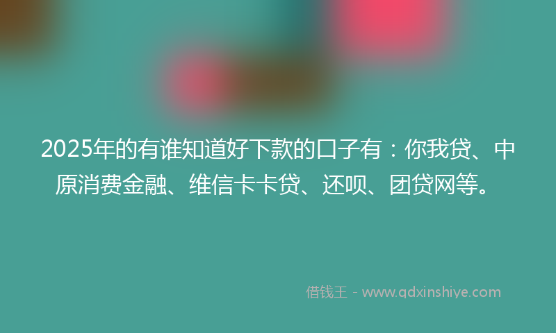 2025年的有谁知道好下款的口子有：你我贷、中原消费金融、维信卡卡贷、还呗、团贷网等。