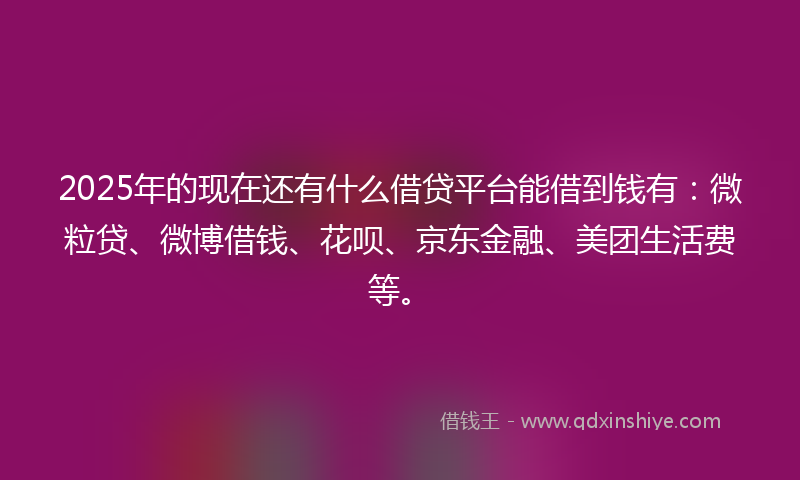 2025年的现在还有什么借贷平台能借到钱有：微粒贷、微博借钱、花呗、京东金融、美团生活费等。