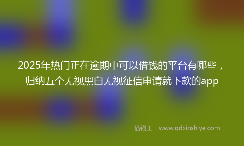2025年热门正在逾期中可以借钱的平台有哪些，归纳五个无视黑白无视征信申请就下款的app