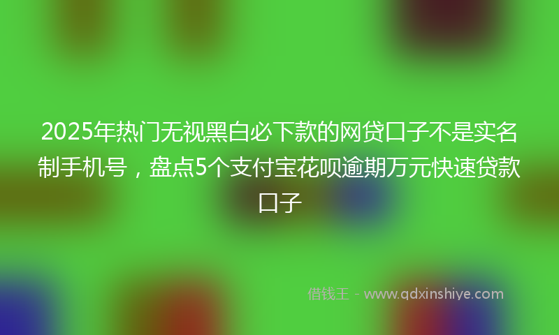 2025年热门无视黑白必下款的网贷口子不是实名制手机号，盘点5个支付宝花呗逾期万元快速贷款口子