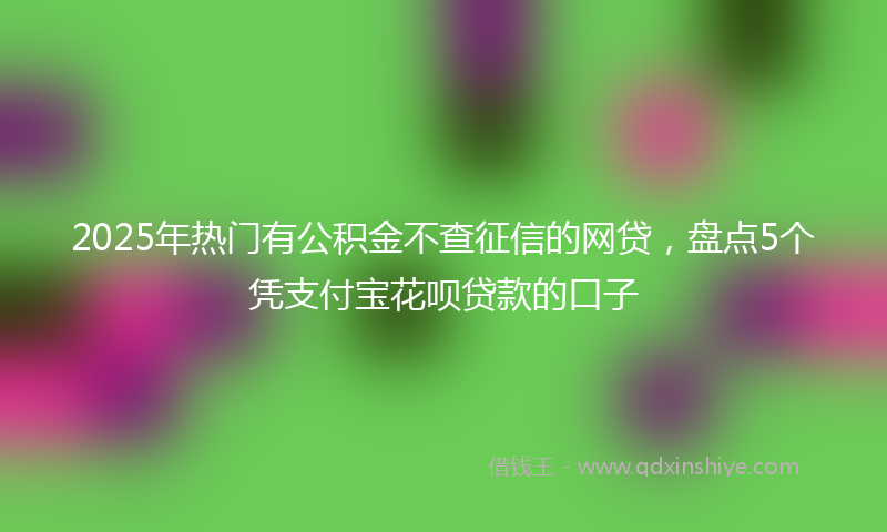 2025年热门有公积金不查征信的网贷，盘点5个凭支付宝花呗贷款的口子