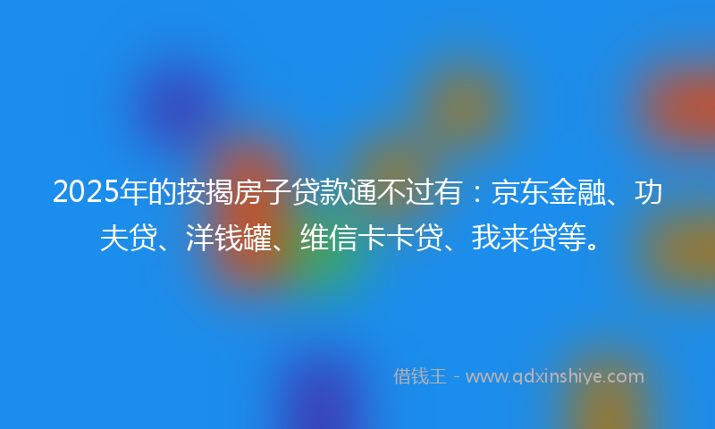 2025年的按揭房子贷款通不过有：京东金融、功夫贷、洋钱罐、维信卡卡贷、我来贷等。