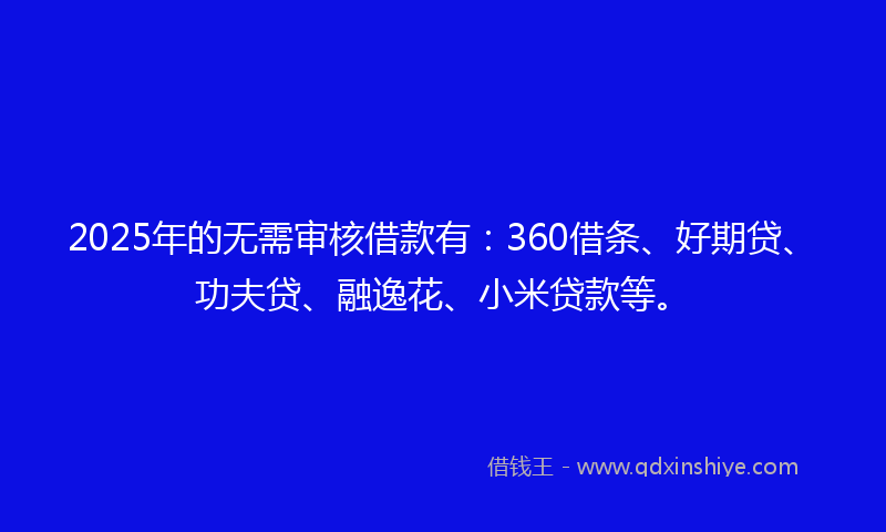 2025年的无需审核借款有：360借条、好期贷、功夫贷、融逸花、小米贷款等。