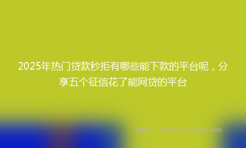 2025年热门贷款秒拒有哪些能下款的平台呢，分享五个征信花了能网贷的平台