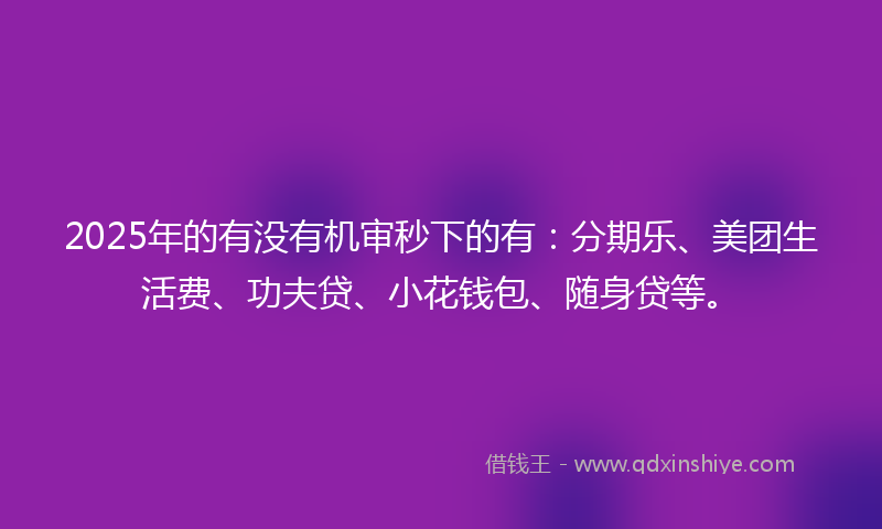 2025年的有没有机审秒下的有：分期乐、美团生活费、功夫贷、小花钱包、随身贷等。