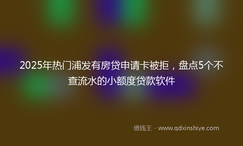 2025年热门浦发有房贷申请卡被拒，盘点5个不查流水的小额度贷款软件