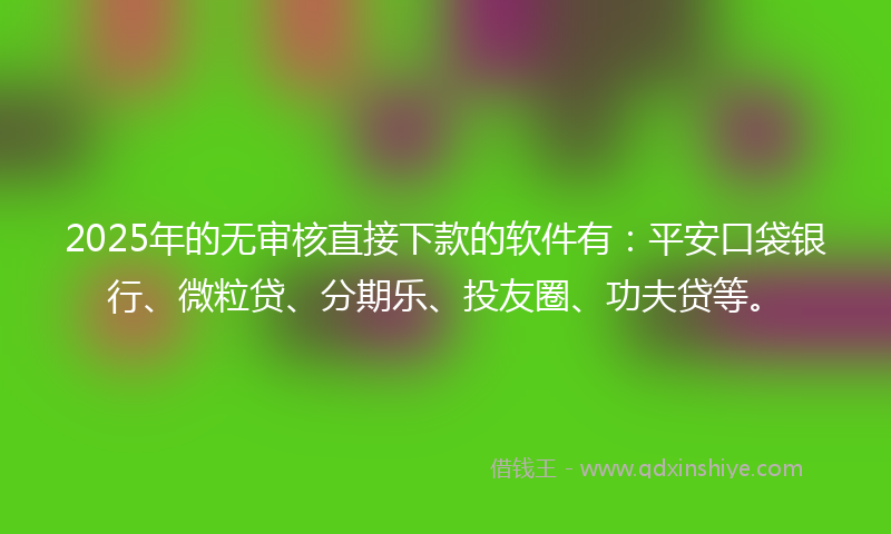 2025年的无审核直接下款的软件有：平安口袋银行、微粒贷、分期乐、投友圈、功夫贷等。