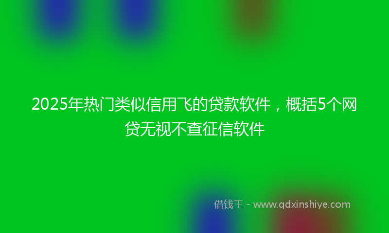 2025年热门类似信用飞的贷款软件，概括5个网贷无视不查征信软件