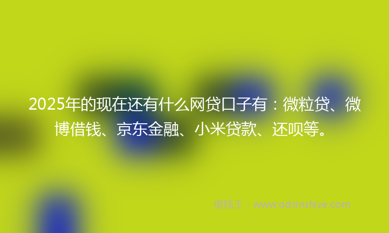 2025年的现在还有什么网贷口子有：微粒贷、微博借钱、京东金融、小米贷款、还呗等。