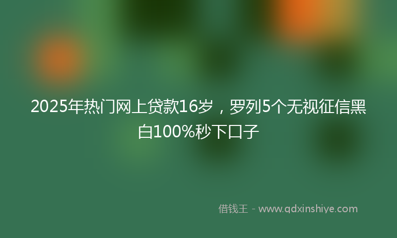 2025年热门网上贷款16岁，罗列5个无视征信黑白100%秒下口子