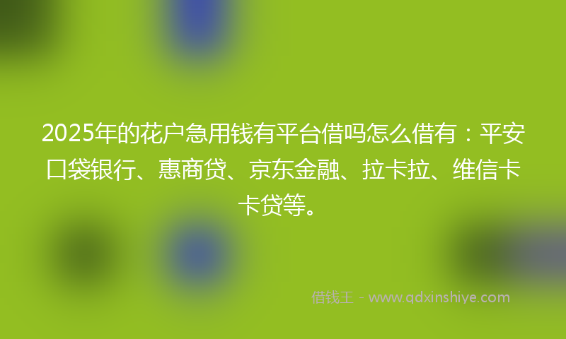 2025年的花户急用钱有平台借吗怎么借有：平安口袋银行、惠商贷、京东金融、拉卡拉、维信卡卡贷等。