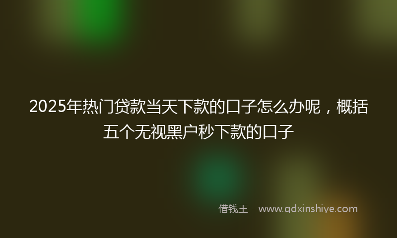 2025年热门贷款当天下款的口子怎么办呢，概括五个无视黑户秒下款的口子