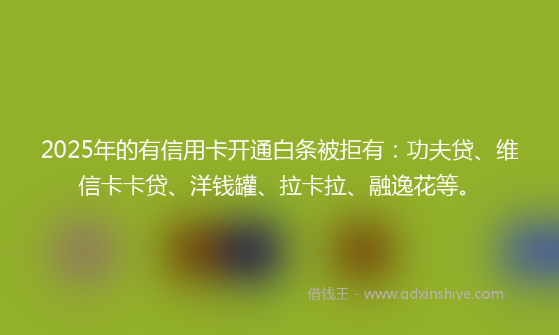 2025年的有信用卡开通白条被拒有：功夫贷、维信卡卡贷、洋钱罐、拉卡拉、融逸花等。