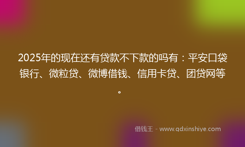 2025年的现在还有贷款不下款的吗有：平安口袋银行、微粒贷、微博借钱、信用卡贷、团贷网等。