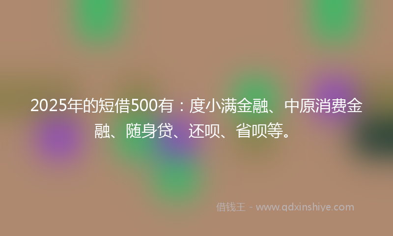 2025年的短借500有：度小满金融、中原消费金融、随身贷、还呗、省呗等。