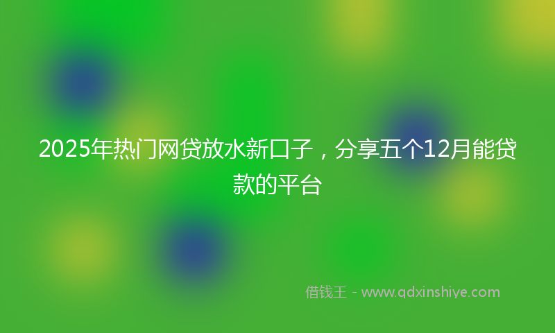 2025年热门网贷放水新口子，分享五个12月能贷款的平台