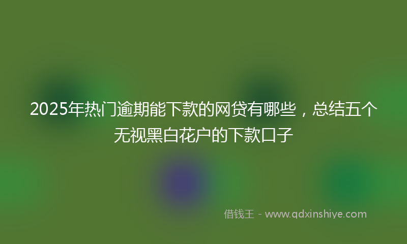 2025年热门逾期能下款的网贷有哪些，总结五个无视黑白花户的下款口子