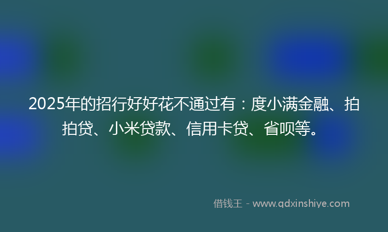 2025年的招行好好花不通过有：度小满金融、拍拍贷、小米贷款、信用卡贷、省呗等。