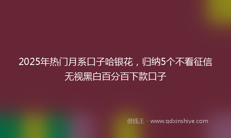 2025年热门月系口子哈银花，归纳5个不看征信无视黑白百分百下款口子