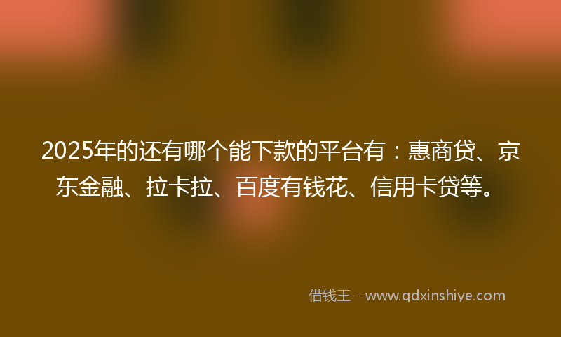 2025年的还有哪个能下款的平台有：惠商贷、京东金融、拉卡拉、百度有钱花、信用卡贷等。