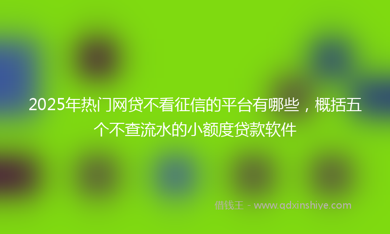 2025年热门网贷不看征信的平台有哪些，概括五个不查流水的小额度贷款软件