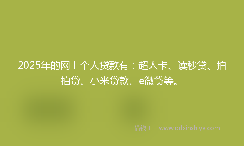 2025年的网上个人贷款有：超人卡、读秒贷、拍拍贷、小米贷款、e微贷等。
