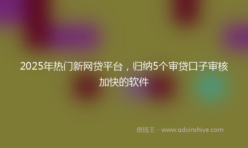 2025年热门新网贷平台，归纳5个审贷口子审核加快的软件