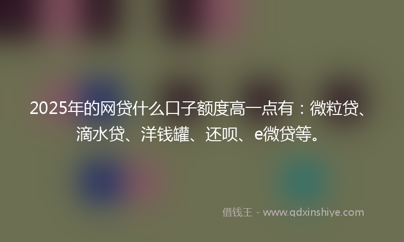 2025年的网贷什么口子额度高一点有：微粒贷、滴水贷、洋钱罐、还呗、e微贷等。