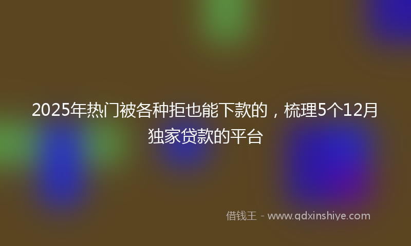 2025年热门被各种拒也能下款的，梳理5个12月独家贷款的平台