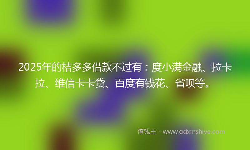 2025年的桔多多借款不过有：度小满金融、拉卡拉、维信卡卡贷、百度有钱花、省呗等。