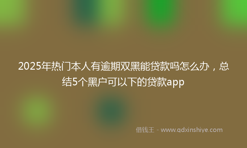 2025年热门本人有逾期双黑能贷款吗怎么办，总结5个黑户可以下的贷款app