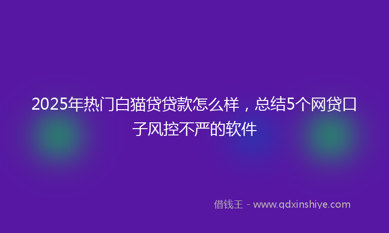 2025年热门白猫贷贷款怎么样，总结5个网贷口子风控不严的软件