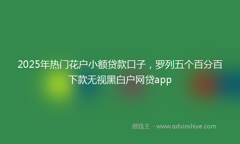 2025年热门花户小额贷款口子，罗列五个百分百下款无视黑白户网贷app