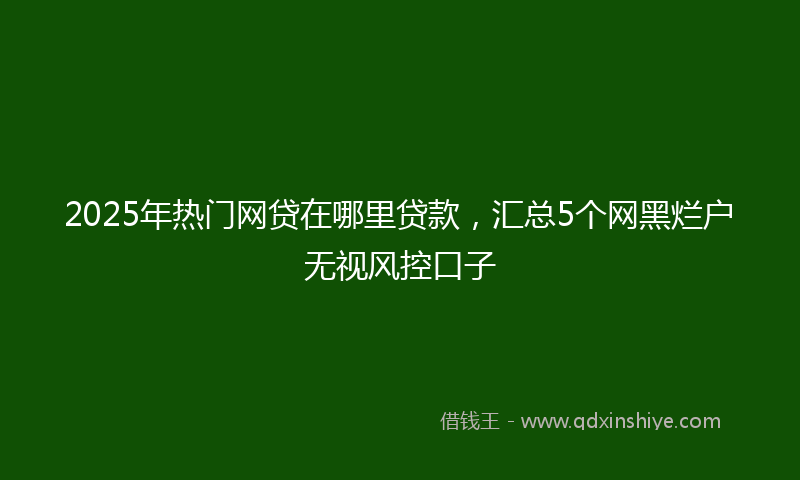 2025年热门网贷在哪里贷款，汇总5个网黑烂户无视风控口子