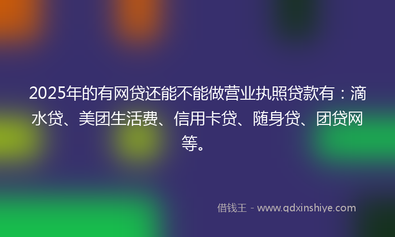 2025年的有网贷还能不能做营业执照贷款有：滴水贷、美团生活费、信用卡贷、随身贷、团贷网等。