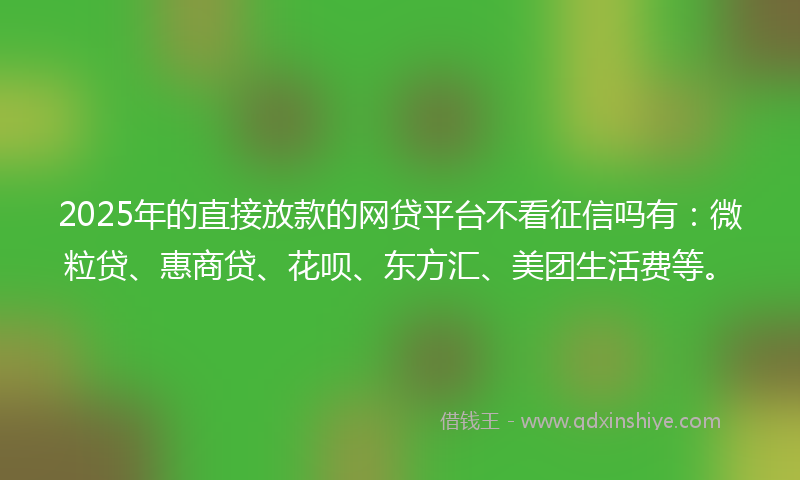 2025年的直接放款的网贷平台不看征信吗有：微粒贷、惠商贷、花呗、东方汇、美团生活费等。