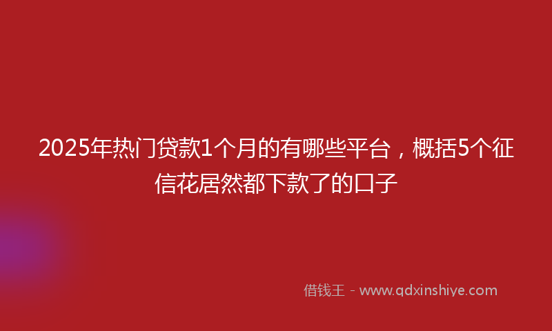 2025年热门贷款1个月的有哪些平台，概括5个征信花居然都下款了的口子