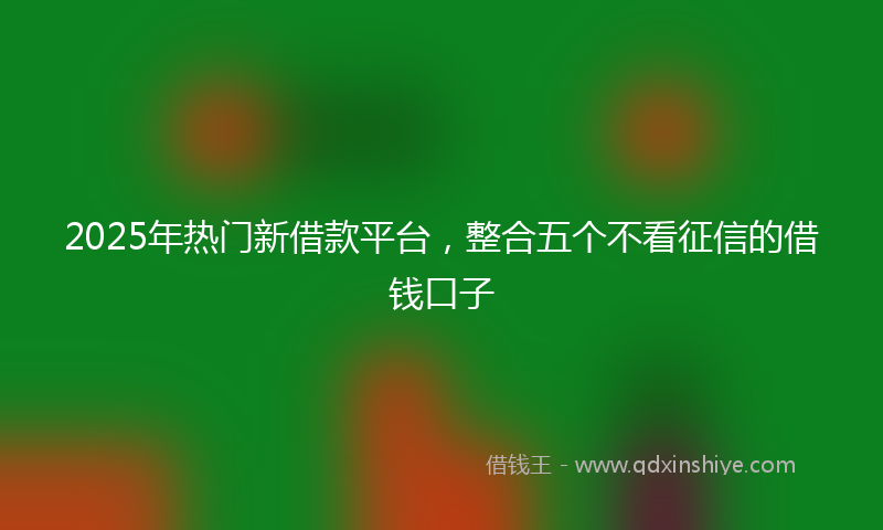 2025年热门新借款平台，整合五个不看征信的借钱口子