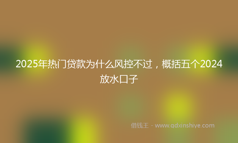 2025年热门贷款为什么风控不过，概括五个2024放水口子