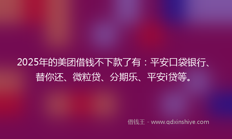 2025年的美团借钱不下款了有：平安口袋银行、替你还、微粒贷、分期乐、平安i贷等。