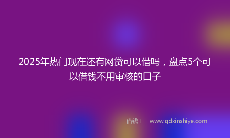 2025年热门现在还有网贷可以借吗，盘点5个可以借钱不用审核的口子