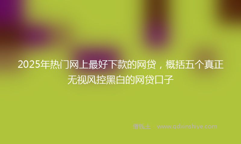 2025年热门网上最好下款的网贷，概括五个真正无视风控黑白的网贷口子