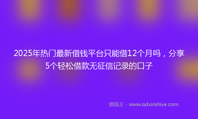 2025年热门最新借钱平台只能借12个月吗，分享5个轻松借款无征信记录的口子