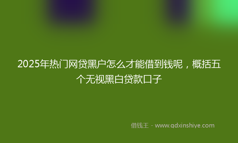 2025年热门网贷黑户怎么才能借到钱呢，概括五个无视黑白贷款口子